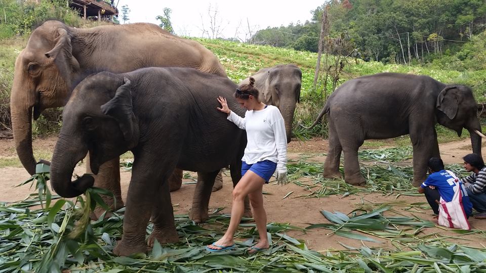 Me Feeding Elephants